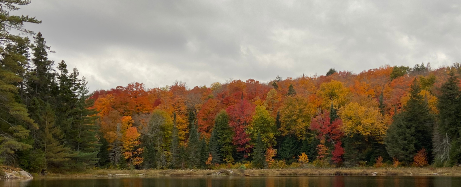 Fall colours shoreline of galipo lakes